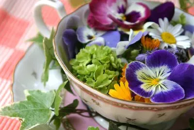 Vårblommor