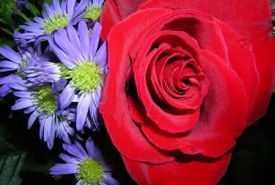 Fiori