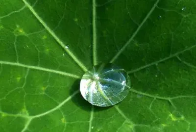 Droplet jigsaw puzzle