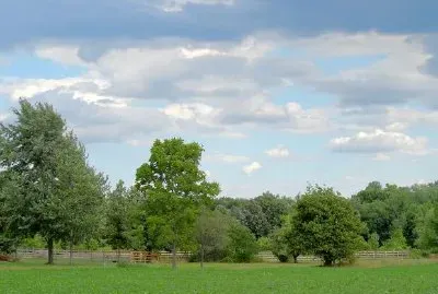 Landskap