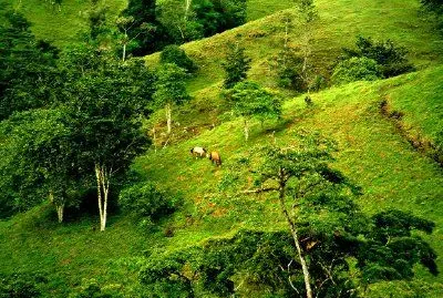 Paisaje, costa rica