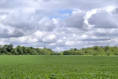 Farm Landscape jigsaw puzzle