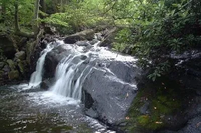Una pequeña cascada