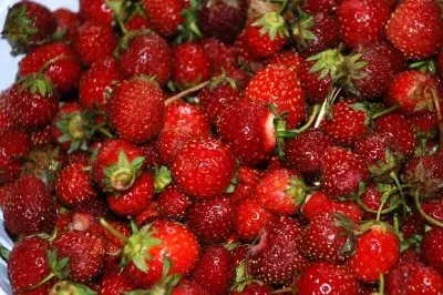 Strawberries jigsaw puzzle