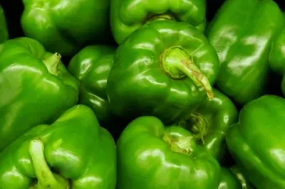 Papryka