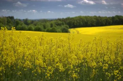 Landschaft, Schottland