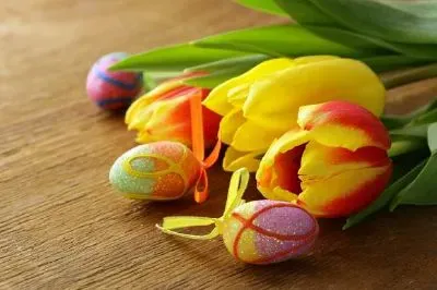Flores, Túlipas e Ovos Decorados