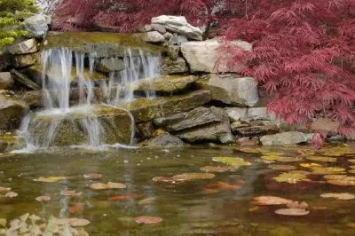 Lagoa do jardim