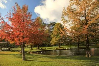 Relaksująca sceneria