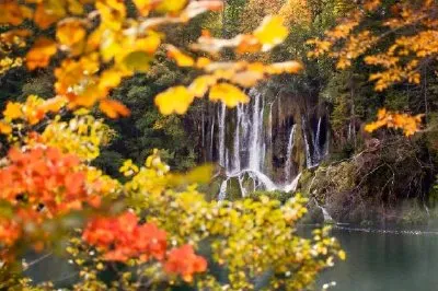 Cachoeira na Folhagem