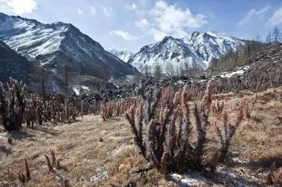 Paisagem montanhosa