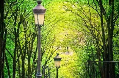 Trees in Montmartre, Paris, France jigsaw puzzle