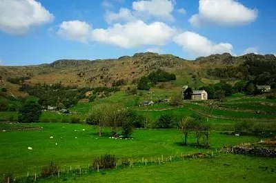Isolated Farm jigsaw puzzle