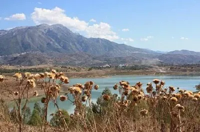 Mountain Lake View