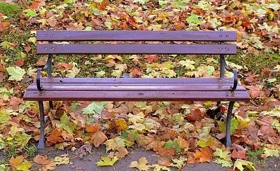 Chair in the Park jigsaw puzzle