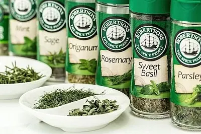 綠色藥草