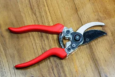 Tijeras de podar rojas sobre fondo de madera