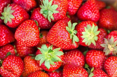 Fondo de fresas rojas brillantes frescas