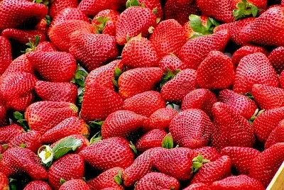 Lot de fraises