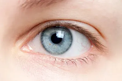 Eye Closeup jigsaw puzzle