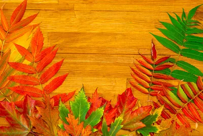 Hojas de otoño en una mesa de madera