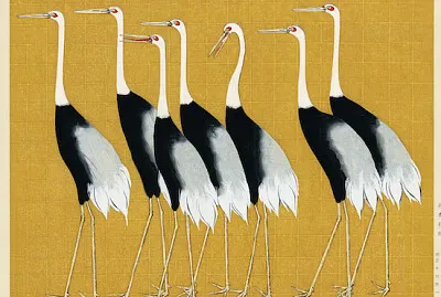 Rebanho de lindo guindaste de coroa vermelha japonesa