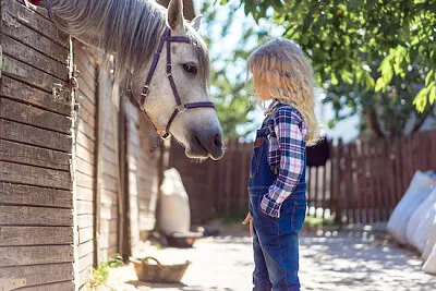 Garoto olhando para um cavalo branco