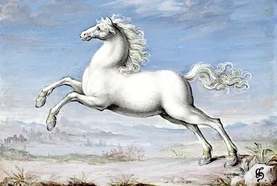 Cavallo bianco dipinto da Joris Hoefnagel