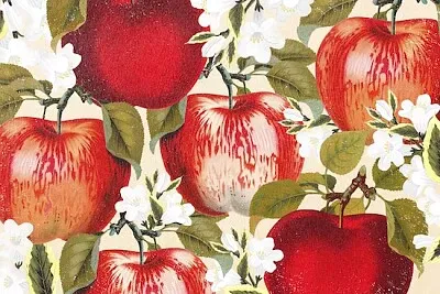 Ilustração de flor de maçã vermelha