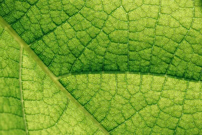 Struttura a macroistruzione di naturale