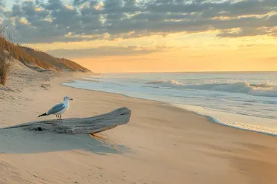 Ruhiger Morgen am Strand
