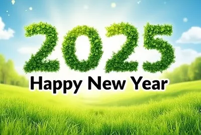 Felice Anno Nuovo 2025