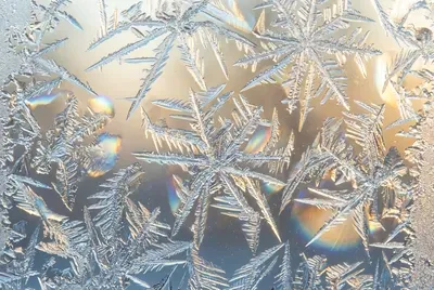 Frost Crystals on Glass jigsaw puzzle