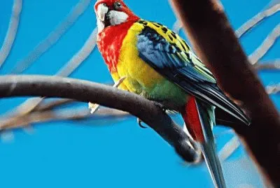 ImÃ¡genes jigsaw puzzle