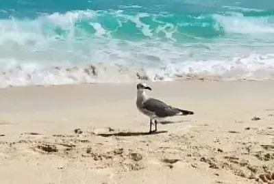 EN CANCUN