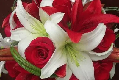 פאזל של ImÃ¡genes