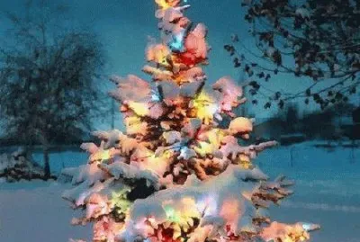ARBOL DE NAVIDAD