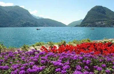 paissagem jigsaw puzzle