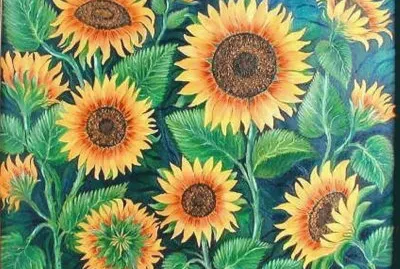 Sun flowers in winter