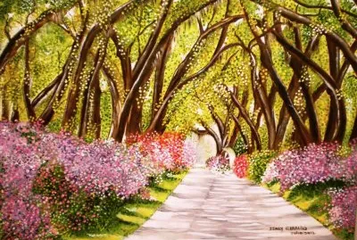 Tree covered road-Lousiana