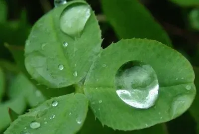 ImÃ¡genes jigsaw puzzle