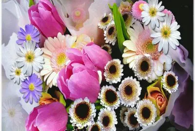 פאזל של ImÃ¡genes