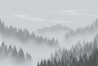 NEBBIA