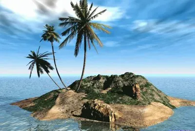 Ca 286 jigsaw puzzle