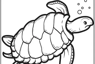 tartaruga marinha