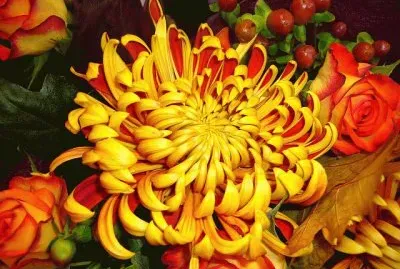 ImÃ¡genes jigsaw puzzle