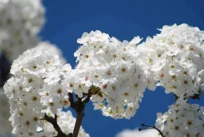 ImÃ¡genes jigsaw puzzle