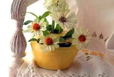 flores
