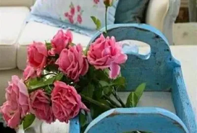 flores