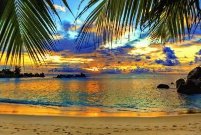 pic 38 jigsaw puzzle